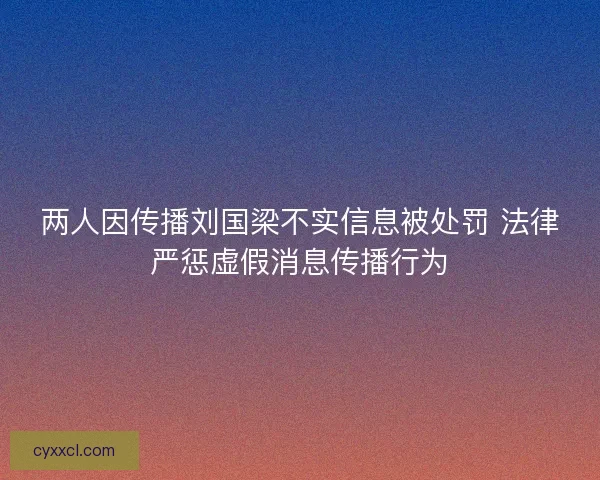 两人因传播刘国梁不实信息被处罚 法律严惩虚假消息传播行为