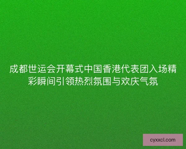成都世运会开幕式中国香港代表团入场精彩瞬间引领热烈氛围与欢庆气氛