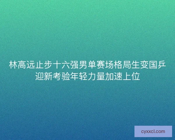 林高远止步十六强男单赛场格局生变国乒迎新考验年轻力量加速上位