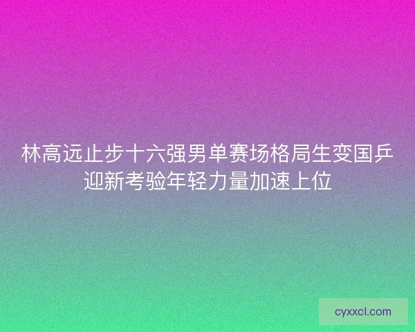 林高远止步十六强男单赛场格局生变国乒迎新考验年轻力量加速上位