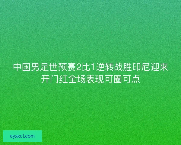中国男足世预赛2比1逆转战胜印尼迎来开门红全场表现可圈可点 中国男足世预赛2比1逆转战胜印尼迎来开门红全场表现可圈可点